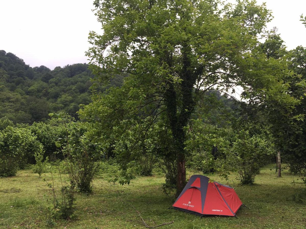 Dumbo Eco Camp Hotel Ozurget'i ภายนอก รูปภาพ