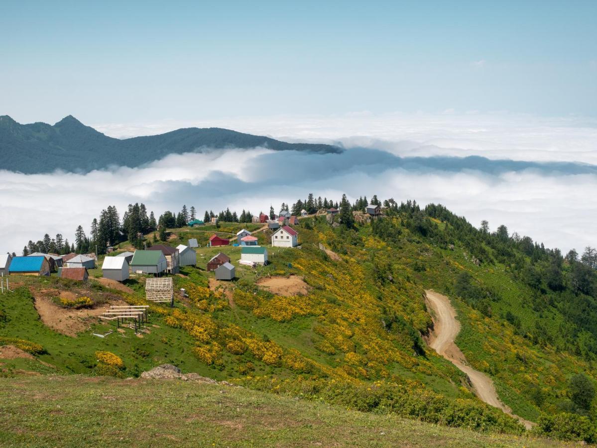 Dumbo Eco Camp Hotel Ozurget'i ภายนอก รูปภาพ