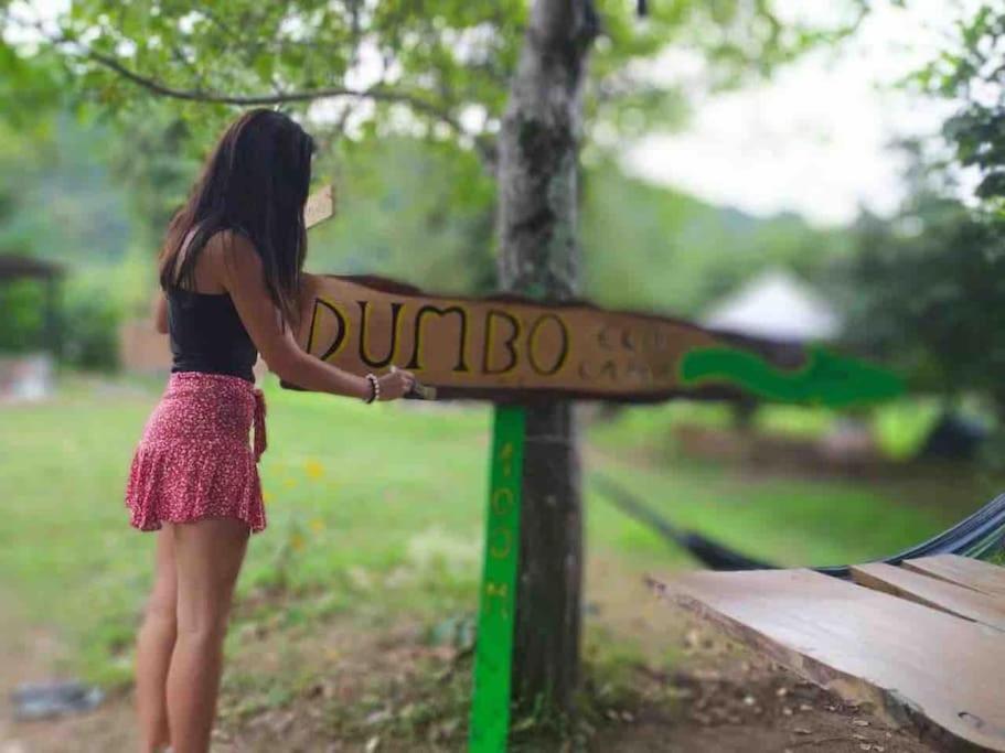Dumbo Eco Camp Hotel Ozurget'i ภายนอก รูปภาพ