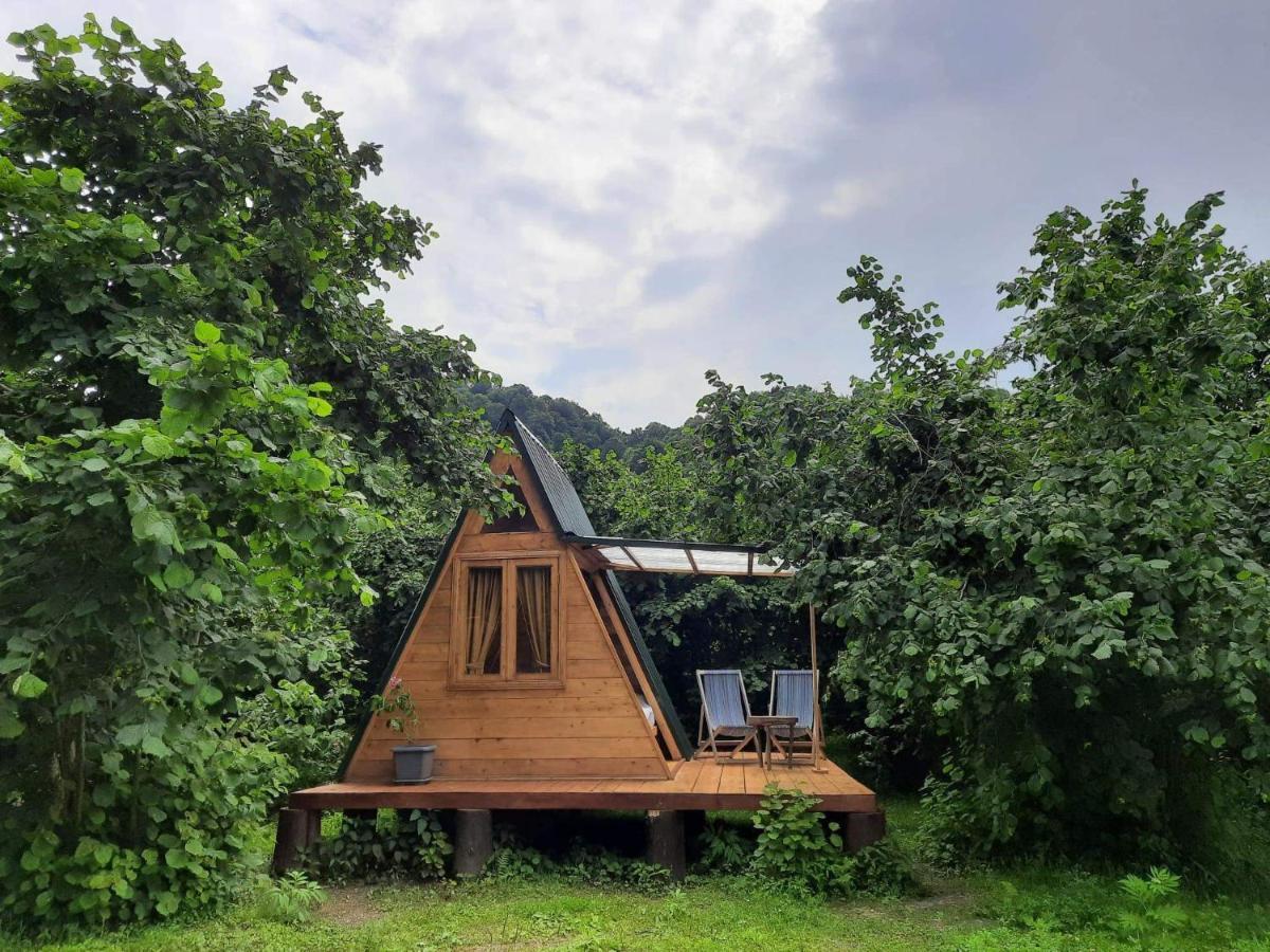 Dumbo Eco Camp Hotel Ozurget'i ภายนอก รูปภาพ