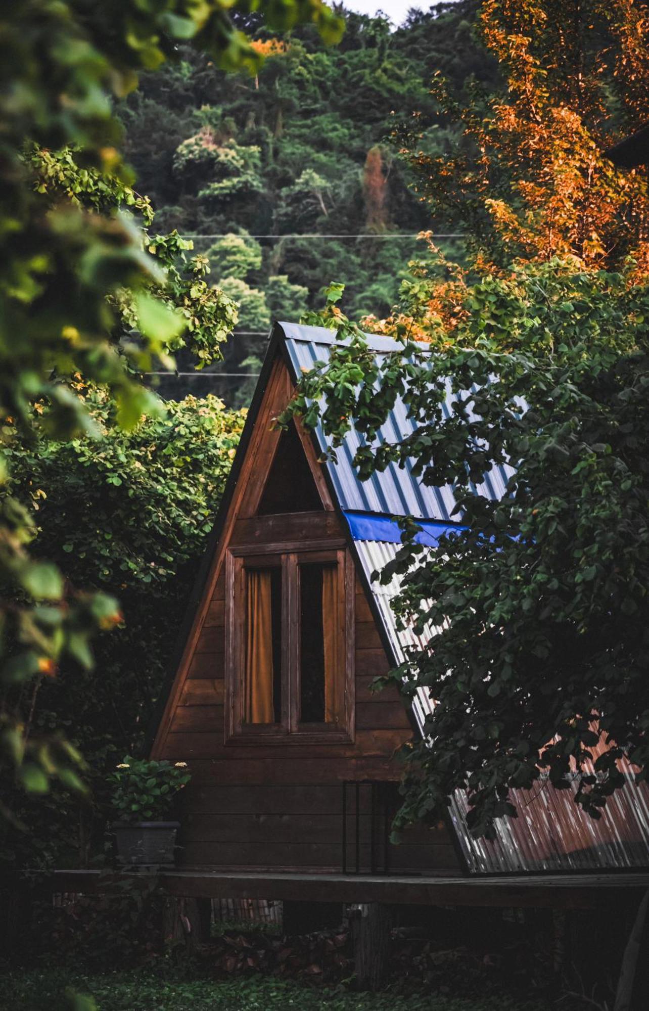 Dumbo Eco Camp Hotel Ozurget'i ภายนอก รูปภาพ